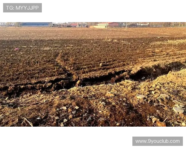 J9九游会平台用户评价与反馈,真实玩家体验分享与建议汇总 J9九游会平台用户评价与反馈,真实玩家体验分享与建议汇总